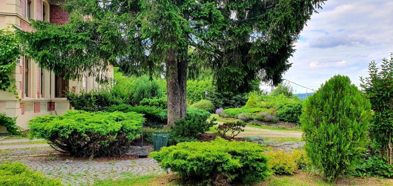 Villa Kliche Przerzeczyn-Zdroj Buitenkant foto