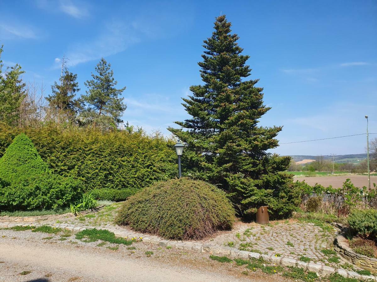 Villa Kliche Przerzeczyn-Zdroj Buitenkant foto